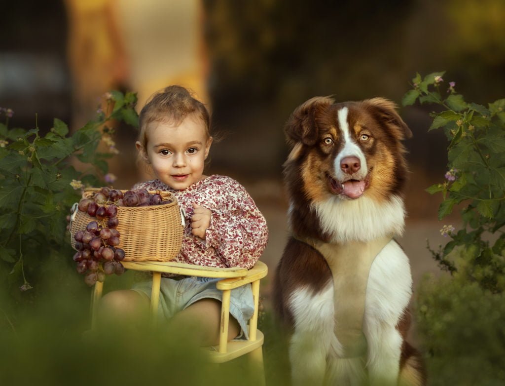 צילומי ילדה מתוקה לצד כלב סקרן בטבע
